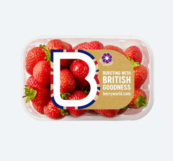 Fresas Berry World